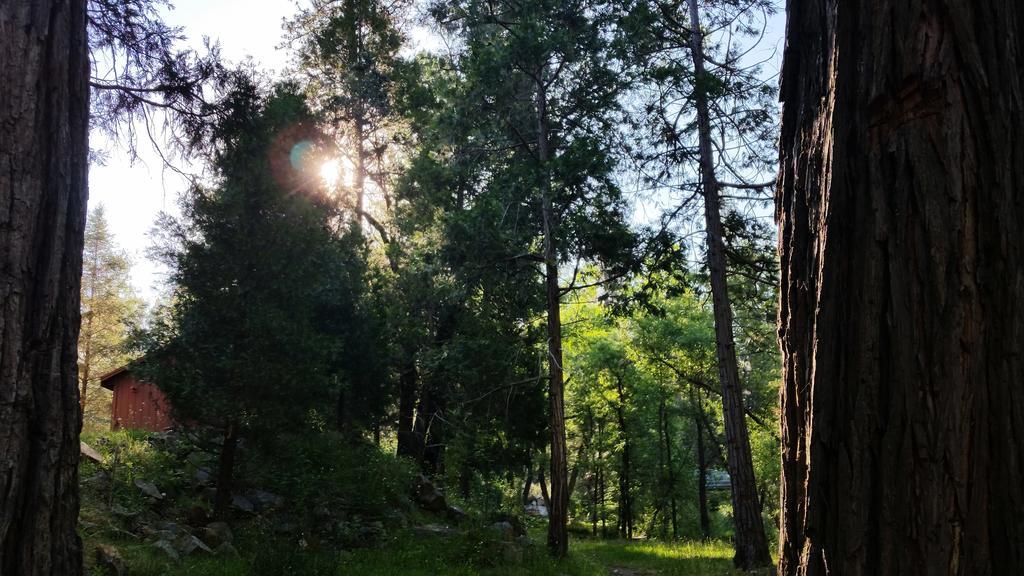 Yosemite Riverside Inn Гровленд Экстерьер фото
