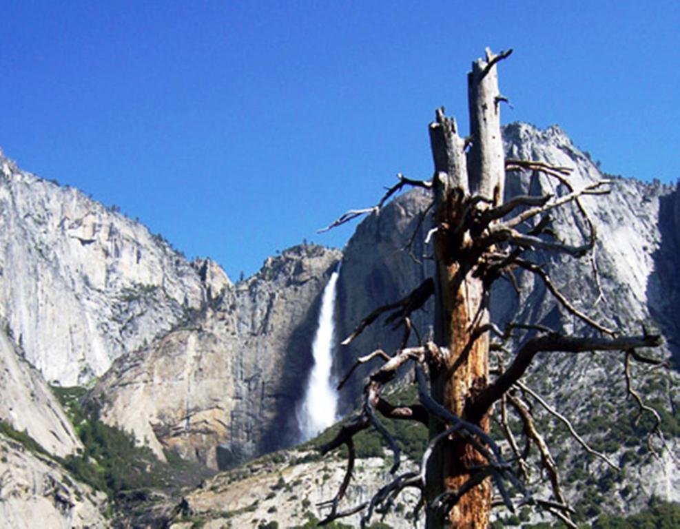 Yosemite Riverside Inn Гровленд Экстерьер фото